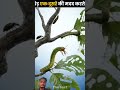 Amazing fact video 😱 #facts