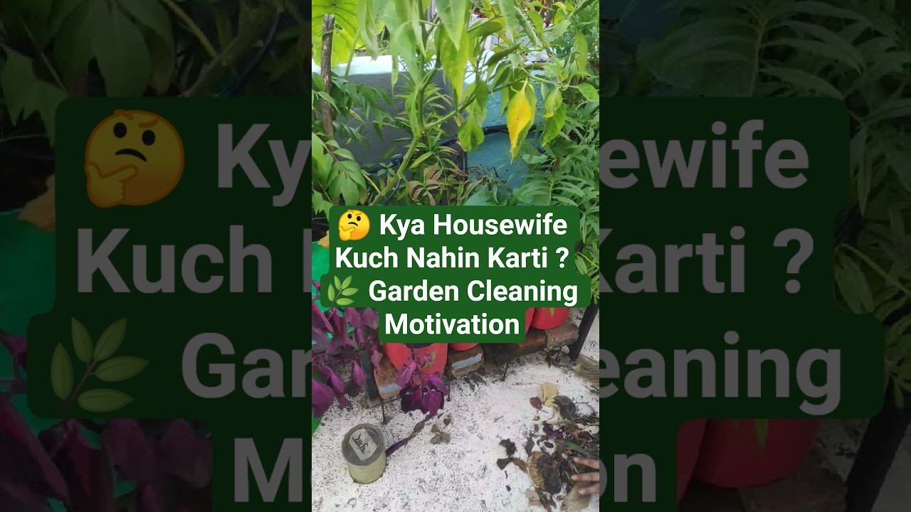 🌿✨"Kya Housewife Kuch Nahin Karti? Garden Cleaning Motivation  The Lucky Roof Garden"