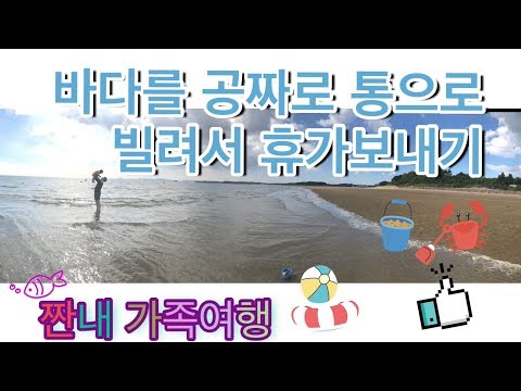 사과주스 추천