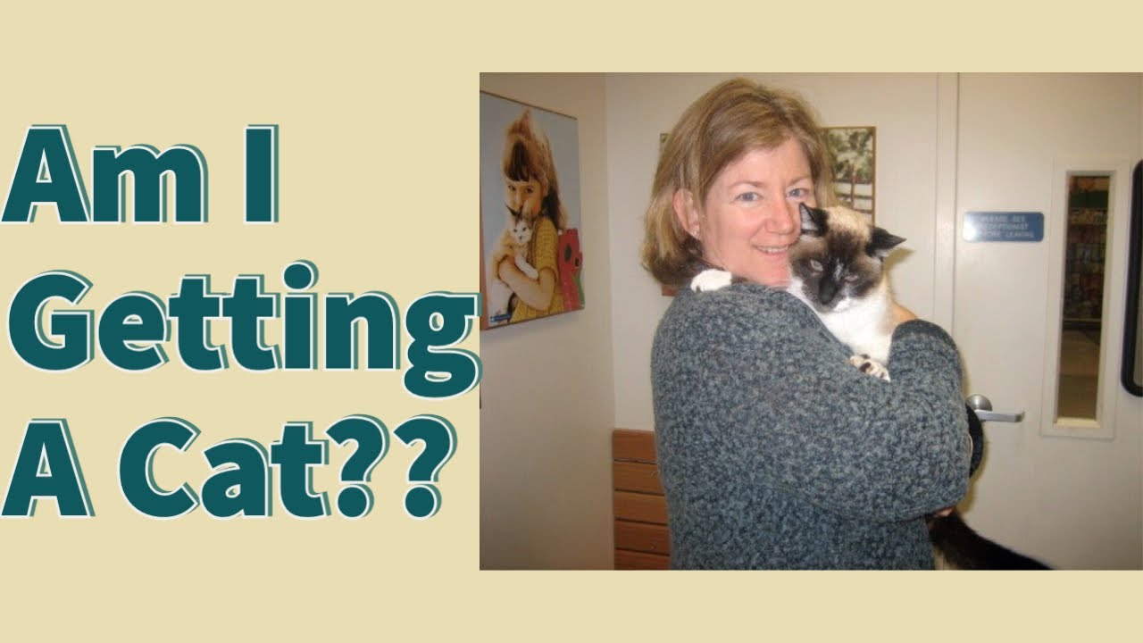 Am I Getting A Cat?!? - YouTube