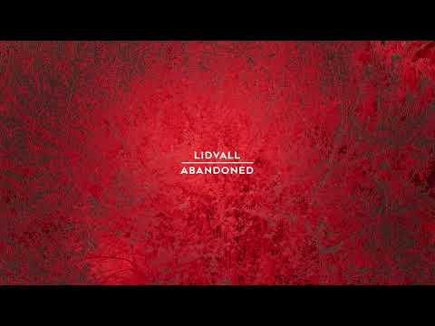 Lidvall — LIDVALL - Like to your story [SOMA676D]