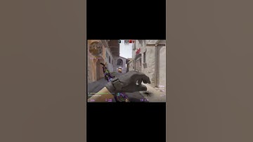 #cs #cs_bisht_vines #cs2 #csbishtvines #csgo #csgoclips #csgomoments #csk #csrank #css