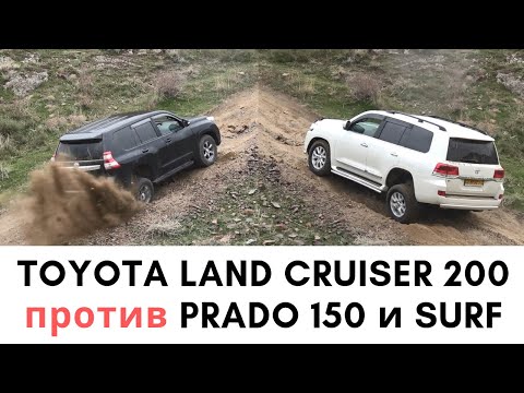 2019 Toyota Land Cruiser 200 vs Land Cruiser Prado 150 & Hilux Surf