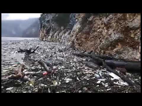 Ekološka katastrofa na rijeci Drini, hiljade kubika smeća pluta na vodi