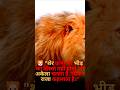 "शेर से सीखो जिंदगी जीना"|#motivation #trading #success #motivationalshorts