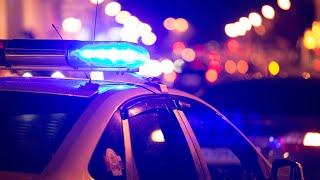 Connecticut police search for two men accused of attempting to steal expensive cat