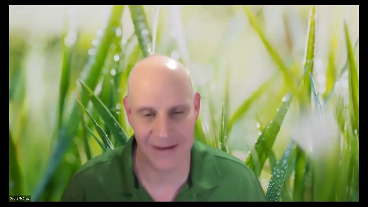 New Year Broadcast REPRISE