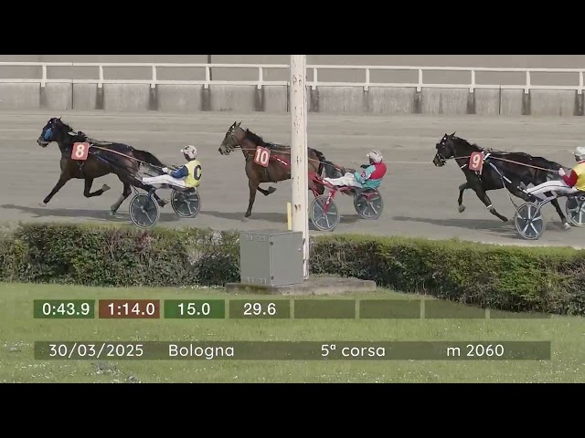 2025 03 30 | Corsa 5 | Metri 2060 | Premio Gran Premio Italia - Femmine