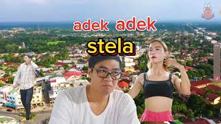 stela nyari gara gara