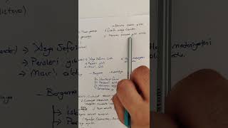 Medeniyet Havzaları 3 Yunan, Makedonya Ve Roma İmparatorluğu Kpss Tyt Ayt Tarih