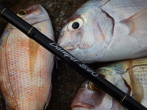 Micro Shore Jigging for red snappers. Feat. Zenaq Damper S90 (RG)