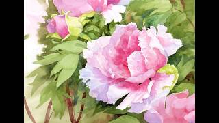 Learn to Paint a Tree Peony Blossom in Watercolor