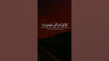 القرآن الكريم | كَانُوا قَلِيلًا مِّنَ اللَّيْلِ مَا يَهْجَعُونَ | سورة الذاريات