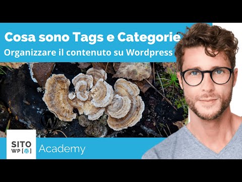Video: A cosa servono i tag su WordPress?