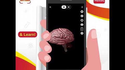 Scan Anything With Practically | #StopSearchingStartScanning