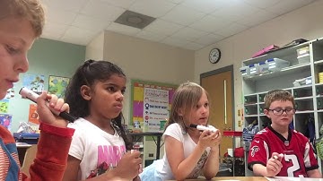 Small Group Guided Reading Lesson Part 2