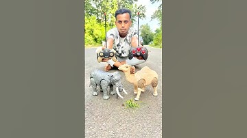 Rc Camel & Rc Elephant Unboxing 🐘🐫👍 | Remote Control Animals