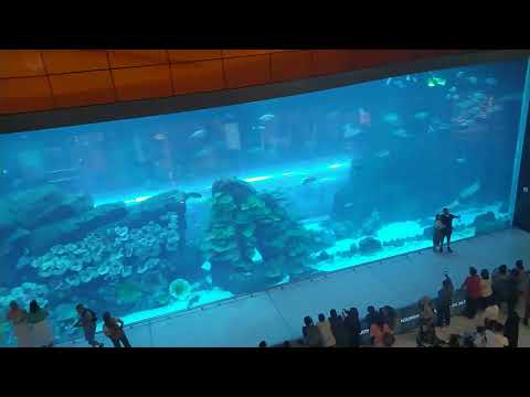 Dubai Aquarium