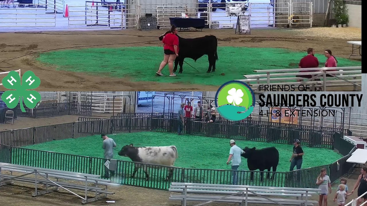 Saunders County 4-H Shows 7-30-26