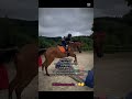 #horse #equestrianjourney #equestrian