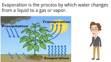 Evapotranspiration