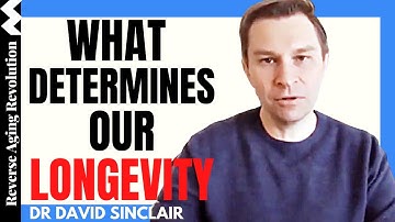 What Determines Our LONGEVITY? | Dr David Sinclair Interview clips