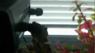DSCF1702.AVI