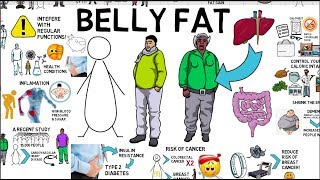 DANGERS OF BELLY FAT (MUST WATCH!!!) - Animated