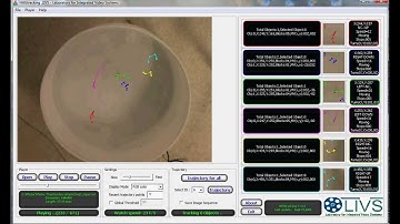 Software for Fish Tracking Inside the Aquarium