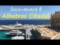 Заселяемся в номер, наши первые впечатления об отеле  Albatros Citadel Resort 5*