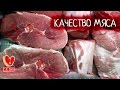 Качество мяса