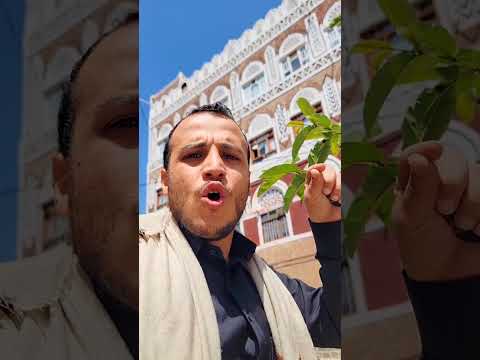 اليمن رواتب اليمنيين واعمار اليمن من البنك الاهلي السعودي حيث يتم توريد ايرادات النفط اليمني