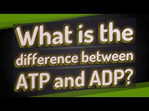 Vidéo: Différence Entre ATP Et ADP