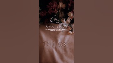 وإذا قرئ القرآن فاستمعوا له #ياسر_الدوسري #رسالة_من_الله #اكسبلور #تلاوة_خاشعة #قرآن #لايك