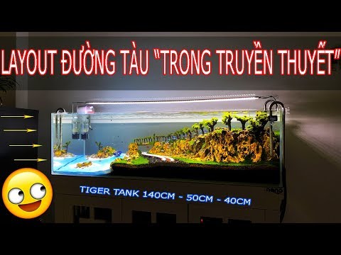 Video TIGER TANK - Bảo dưỡng Hồ Thủy Sinh đá tiger ĐƯỜNG TÀU... - youtube