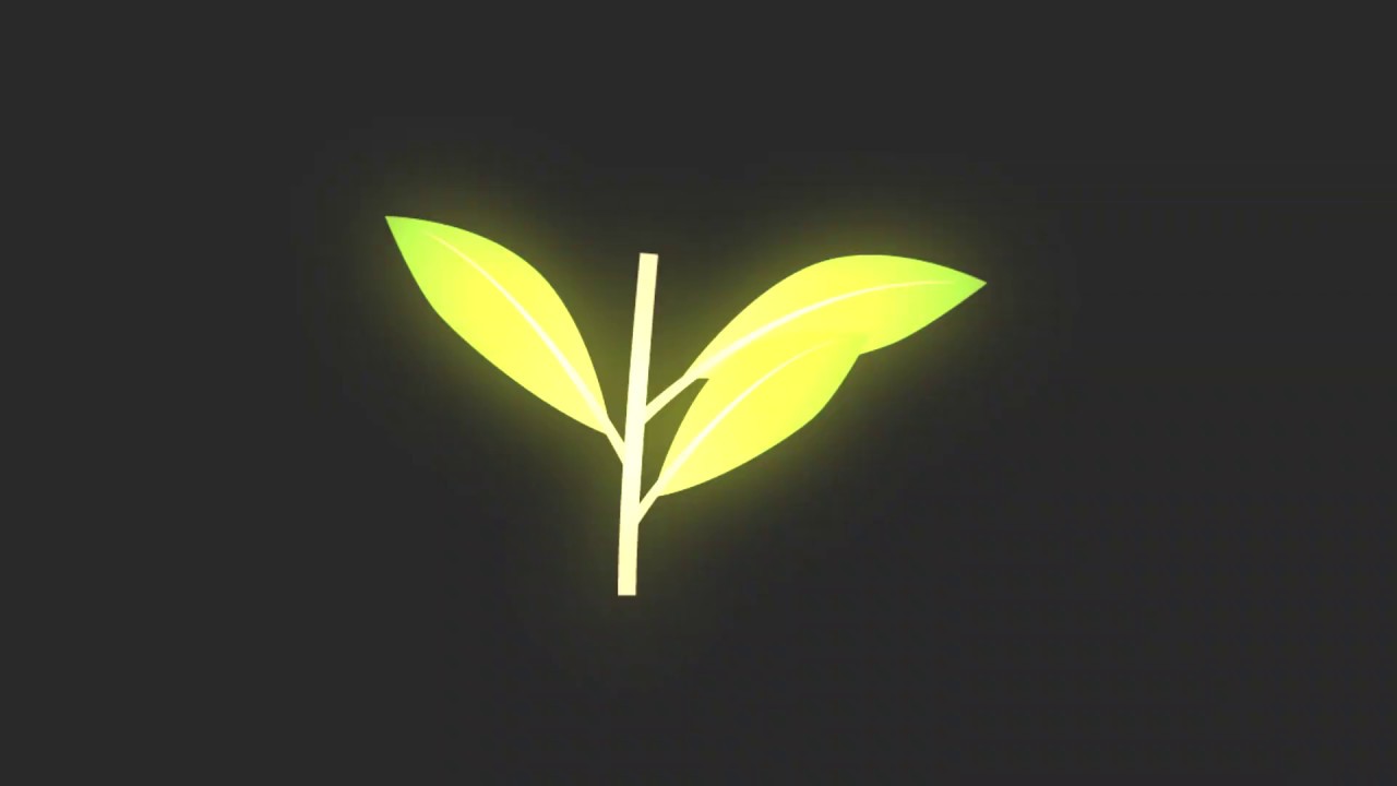 Vegas Proでスライドショームービーを作る | フロリダぶ