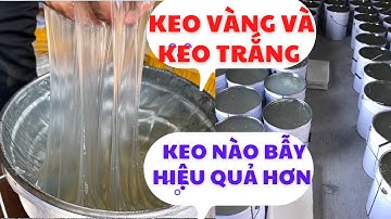 So sánh 2 mẫu keo bẫy cò loại 1 và loại 2 .ae xem để biết phân biệt nhé