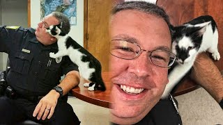 Stray Cat Sneaks Into Police Department And Chooses Officer As His Human by BazPaws 15,705 views 2 weeks ago 2 minutes, 19 seconds