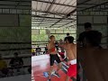 Super Boxing League (SBL) Road to the Ring New Delhi trials #hitharder #sbl #shorts