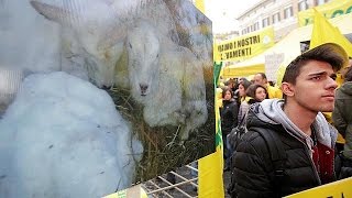 İtalya'da depremzede çiftçiler hükümeti protesto etti