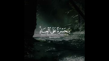 حالات واتس اب دينية❤️ //مقاطع دينية قصيرة مقاطع انستقرام دينية💙 //شريف مصطفى ✨//سورة يس