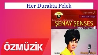 Her Durakta Felek - Şenay Şenses  Resimi