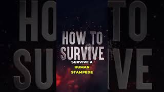 Surviving Human Stampedes: What You Didn't Know About Crowd Disasters! #stampede #shorts #survival