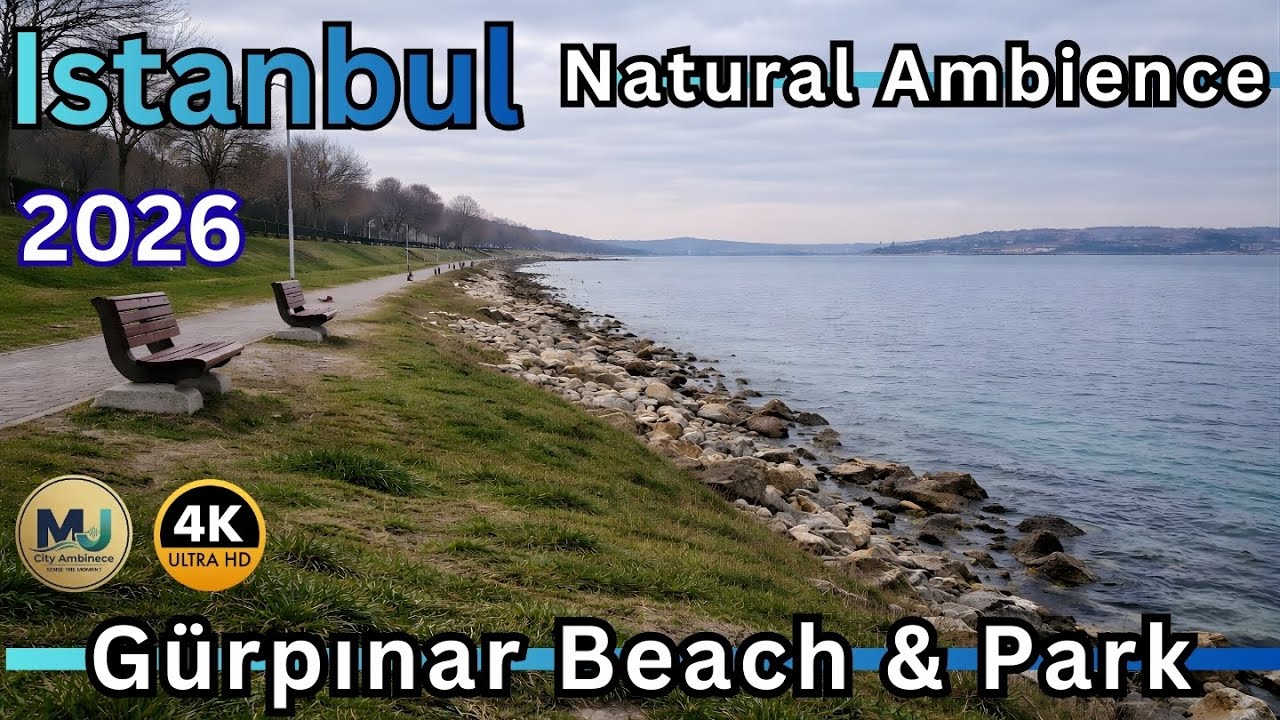 Istanbul Beylikdüzü Gürpınar | Real City Ambience from a Static Camera by the Sea