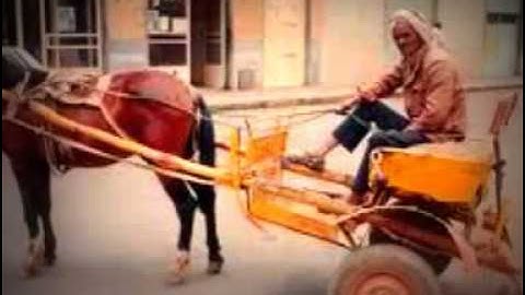 Jemal Romodan New Song 2013    Beal Karosa    Asmerino Bela )