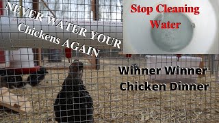 chicken coop rainwater system 1