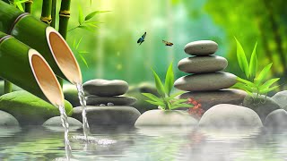 Relaxing Zen Music, Stress Relief Music, Sleep Music, Meditation Music, Study, Nature Sounds, Bamboo