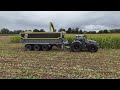 Mais Häckseln 2025 bei Große Bohne, Krone BIG X 1180, Fendt 930 , Fendt 728 (Video 3 von 3)