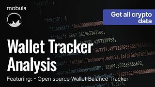 How to build a wallet balance tracker on Solana Bnb and Base in 5 minutes | Mobula api
