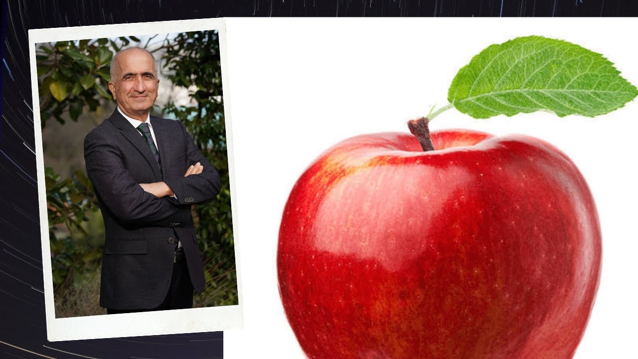 HAVVA, ADEM'E ELMAYI BOŞUNA VERMEDİ